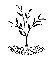 Ashburton Primary School - thumb 0
