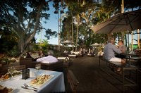 Fig Restaurant  Bar - Accommodation Redcliffe