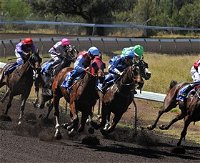 Alice Springs Turf Club - New South Wales Tourism 