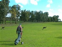 Coffin Bay Golf Club - New South Wales Tourism 