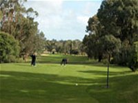 Mount Gambier Golf Club - Accommodation Gladstone