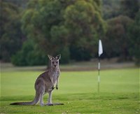 Anglesea Golf Club - Great Ocean Road Tourism