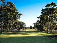 Loxton Golf Club - Accommodation Mount Tamborine