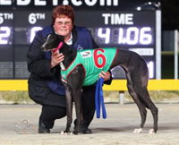 Bulli Greyhound Racing Club - Melbourne Tourism