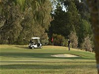 Barossa Valley Golf Club Incorporated - Kempsey Accommodation