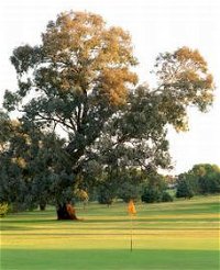 Cowra Golf Club - New South Wales Tourism 