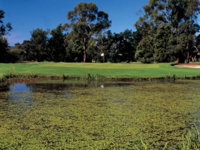 Riverside Golf Club Ltd - Accommodation Whitsundays