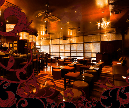 Hippo Lounge Bar - Restaurant Gold Coast