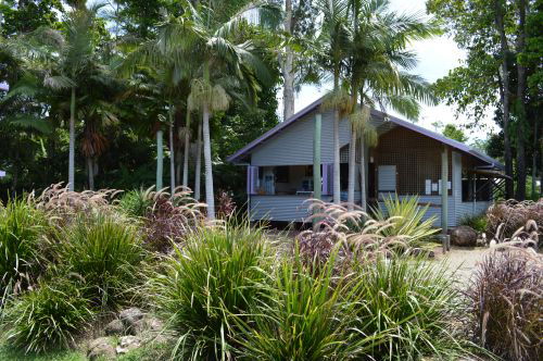 Breakfast Dining Wongaling Beach QLD Pubs and Clubs