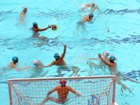 Australian Youth Water Polo Championships - Stayed