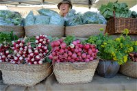 Berry Farmers' Market - Lismore Accommodation