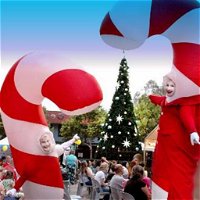 Blacktown Christmas Light Up Concert - Townsville Tourism
