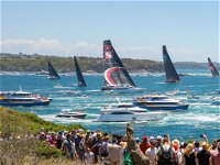 Boxing Day Cruise - Sydney to Hobart Yacht Race - Accommodation Daintree