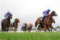 Christmas Cup Race Day - New South Wales Tourism 
