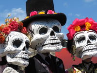 Da de los Muertos Fiesta - Accommodation Search