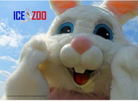 Easter Egg-stravaganza - Accommodation Gold Coast