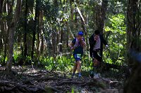 Elephant Trail Race - Accommodation Rockhampton