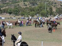 Gresford Agricultural Show - Accommodation Gold Coast