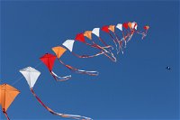 Harden Kite Festival - Accommodation Mount Tamborine