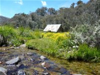 Hedonistic Hiking's Falls Creek to Hotham - Accommodation Sunshine Coast