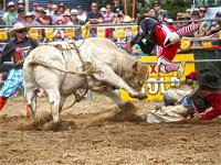 Jindabyne's Man From Snowy River Rodeo - Accommodation Nelson Bay