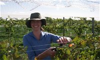 Kingsdale Wines - Cellar Door Wine Tastings - New South Wales Tourism 