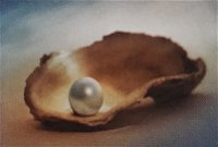 Lecture Cancelled  ADFAS  Lecture Half-Day - Patricia Law speaking on Pearls and Diamonds - New South Wales Tourism 