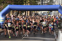 Manly Fun Run and Walk - New South Wales Tourism 