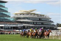 Melbourne Cup Carnival - Maitland Accommodation