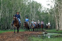 Night Horse Ride and Dinner - Accommodation Sydney