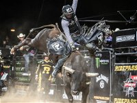 PBR Hawkesbury Stampede - Pubs and Clubs