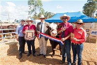 Primex Field Days - New South Wales Tourism 