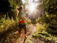 Run Dungog - New South Wales Tourism 