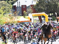 Snowies MTB Festival - Accommodation Find