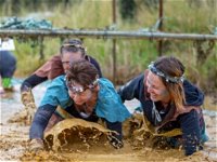 Suck It Up Buttercup Vikings Obstacle Course - Accommodation QLD