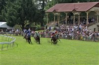 Tumut Derby Day - New South Wales Tourism 