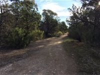 Victoria Park Moonta monthly walks - Accommodation Sunshine Coast