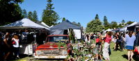 Watsons Bay Spring Market - Whitsundays Tourism