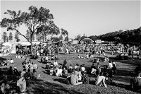 Yours and Owls Festival - Redcliffe Tourism