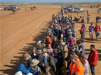 28th Marree Australasian CAMEL CUP 3 July 2021 - Tourism Canberra