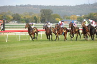 Aggies Race Day - New South Wales Tourism 