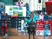 AgriWest Cooma Rodeo - Lismore Accommodation