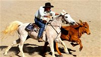 Bedourie Campdraft Rodeo Gymkhana - Tweed Heads Accommodation