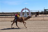Bedourie Camel and Pig Races and Camp oven Cook-off - Accommodation Gold Coast