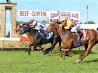 Casino Cup - Redcliffe Tourism