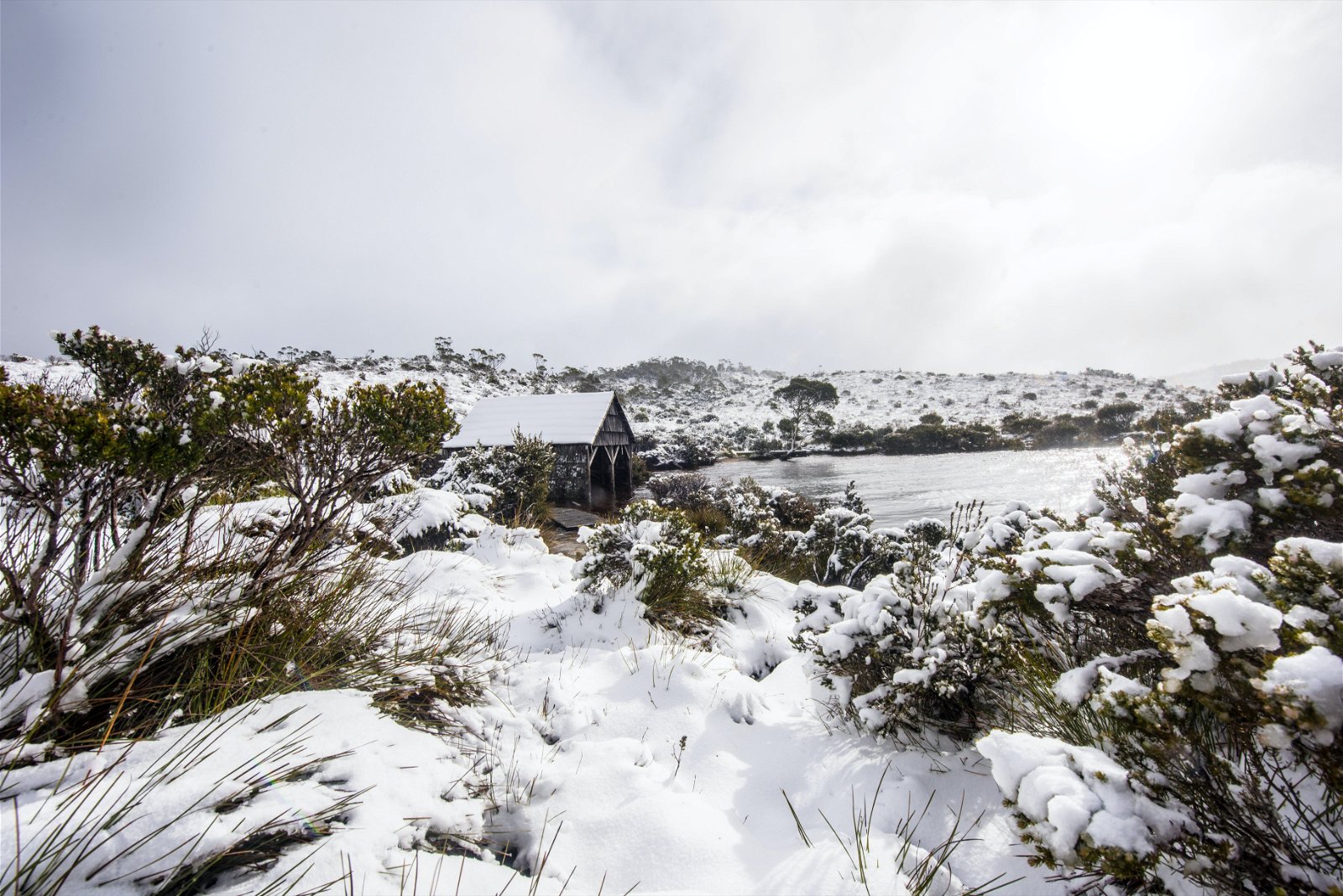 Cradle Mountain TAS Accommodation Airlie Beach