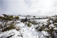 Christmas in July at Cradle Mountain Hotel 2020 - Redcliffe Tourism