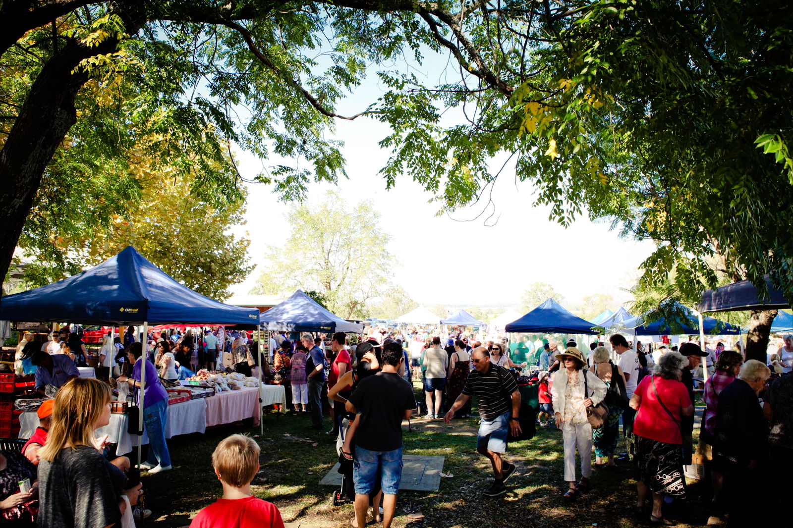 Cobbitty NSW Sydney Tourism