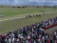 Cooma Sundowners Cup - Grafton Accommodation