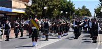 Corowa Rotary Federation Festival Parade - Tourism Bookings WA